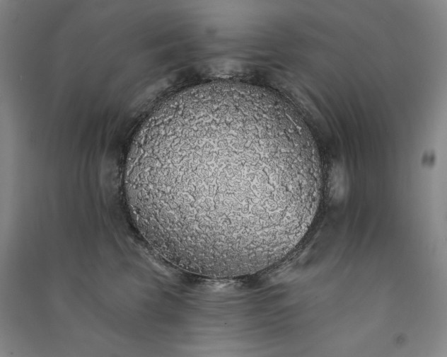 X0000091330569200708171353