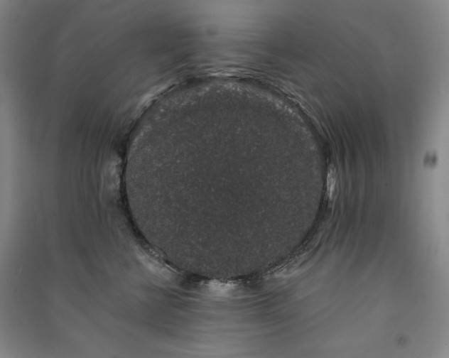 X0000091330570200708171353