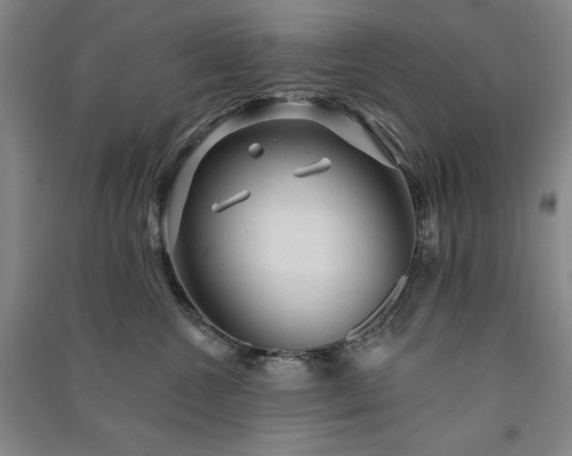 X0000091330572200708171353