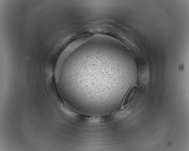 X0000091330574200708171353