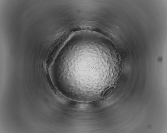 X0000091330575200708171353