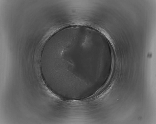 X0000091330577200708171353