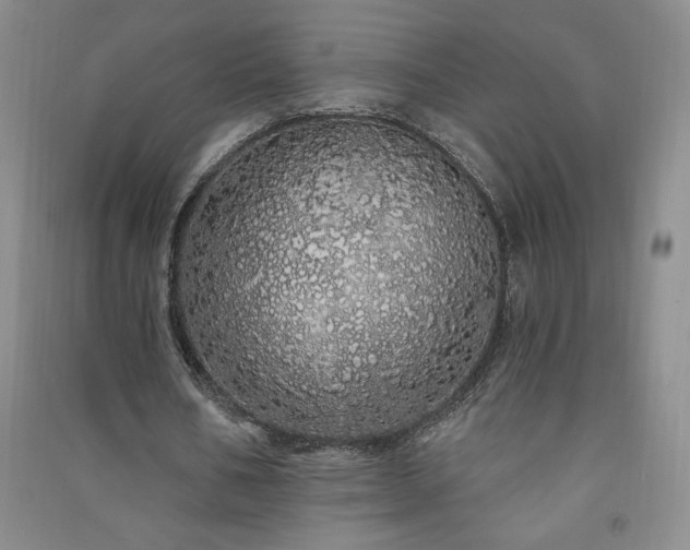 X0000091330578200708171353