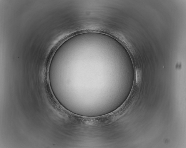 X0000091330579200708171353