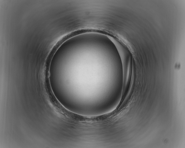 X0000091330580200708171353