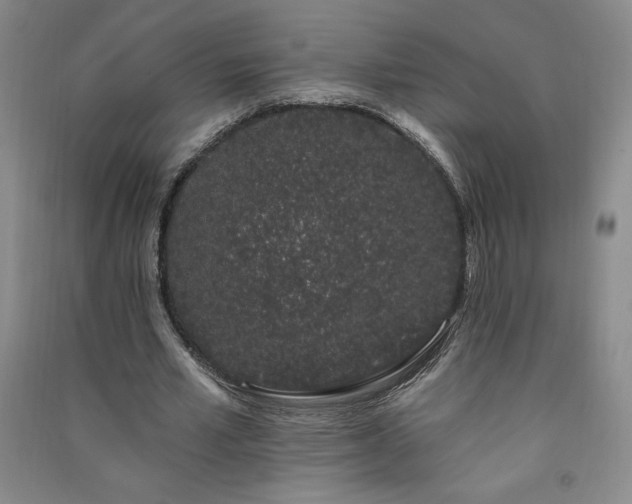 X0000091330581200708171353