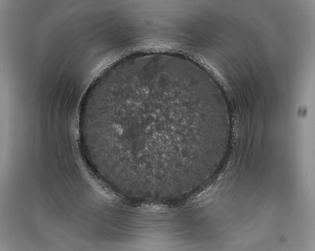 X0000091330582200708171353