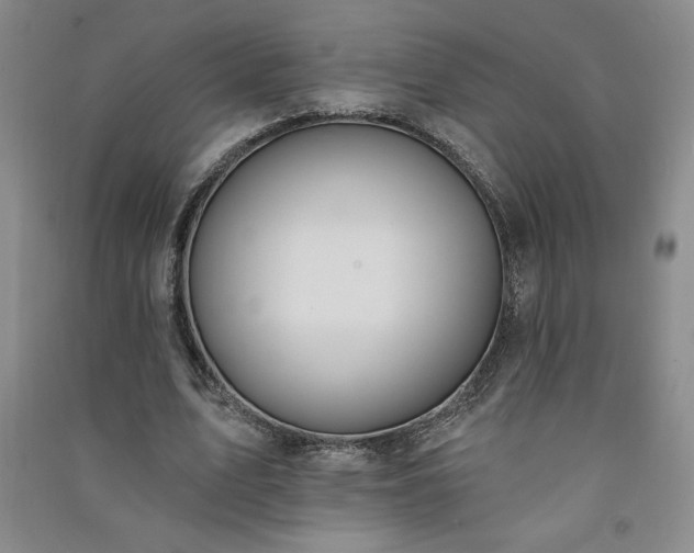 X0000091330583200708171353