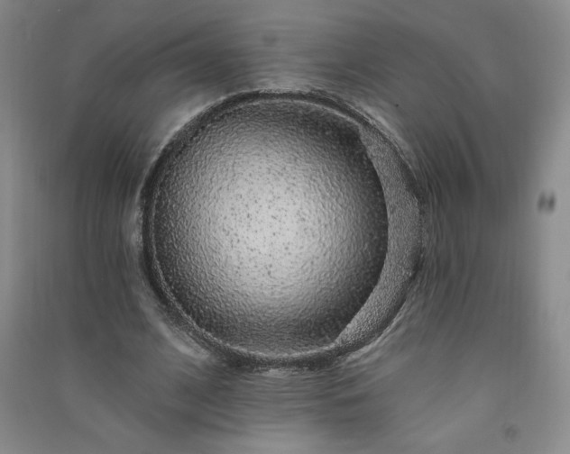 X0000091330584200708171353