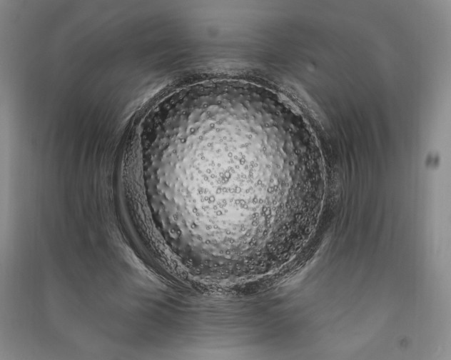 X0000091330585200708171353