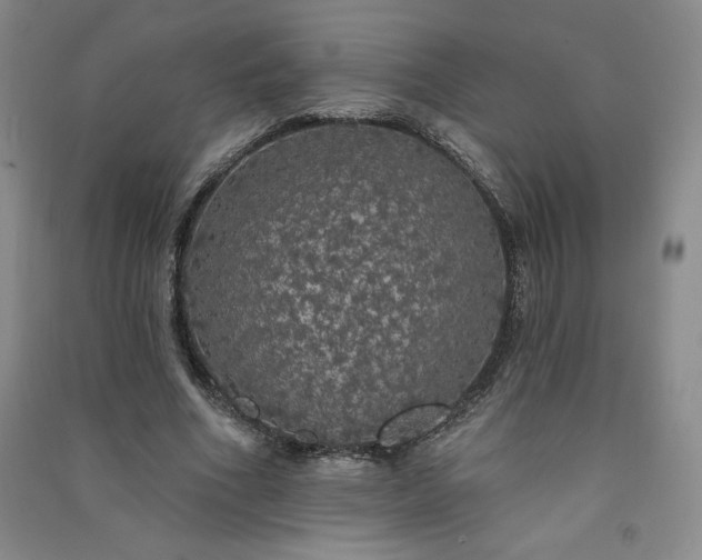 X0000091330586200708171353