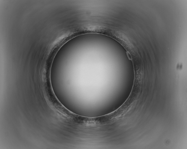 X0000091330587200708171353