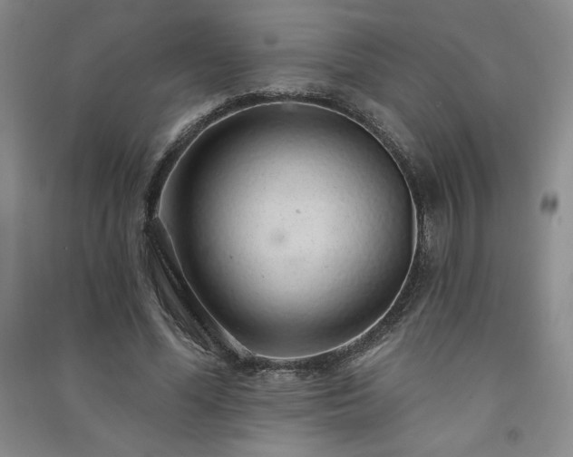 X0000091330588200708171353