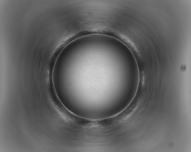 X0000091330589200708171353