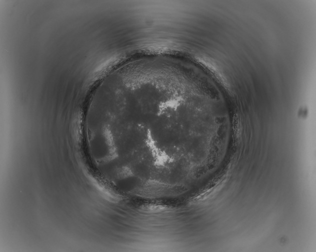 X0000091330590200708171353