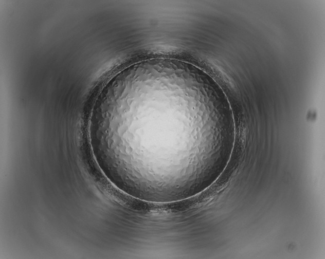 X0000091330591200708171352