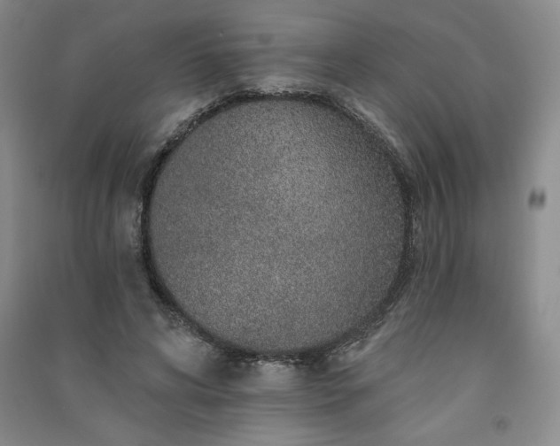 X0000091330592200708171352