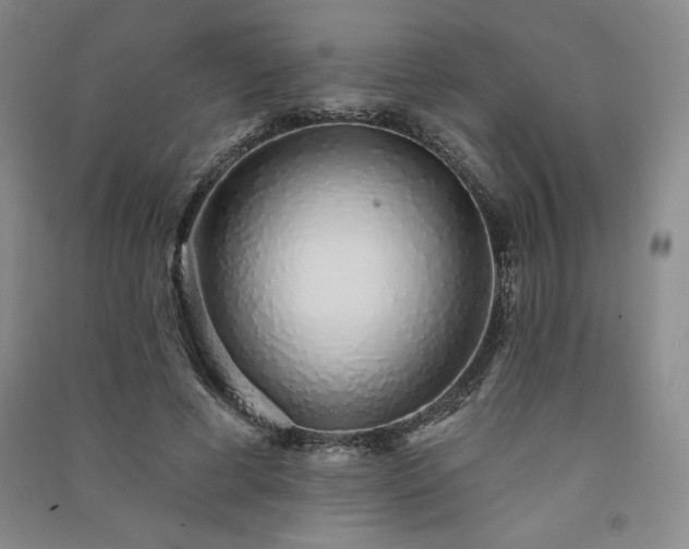 X0000091330593200708171352