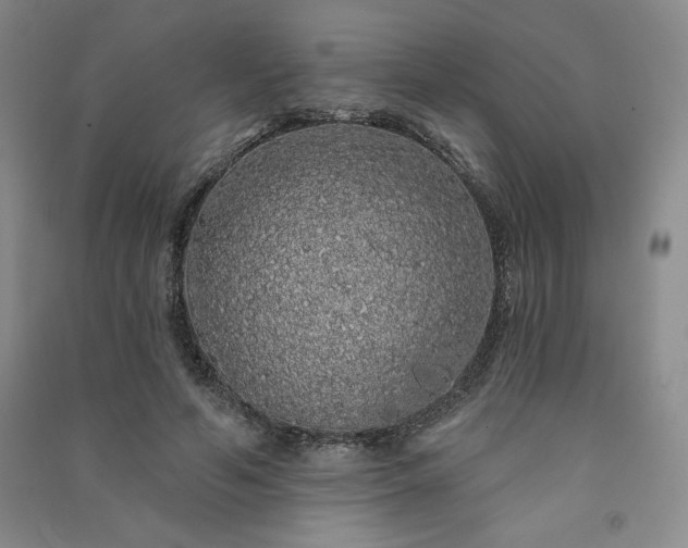 X0000091330594200708171352