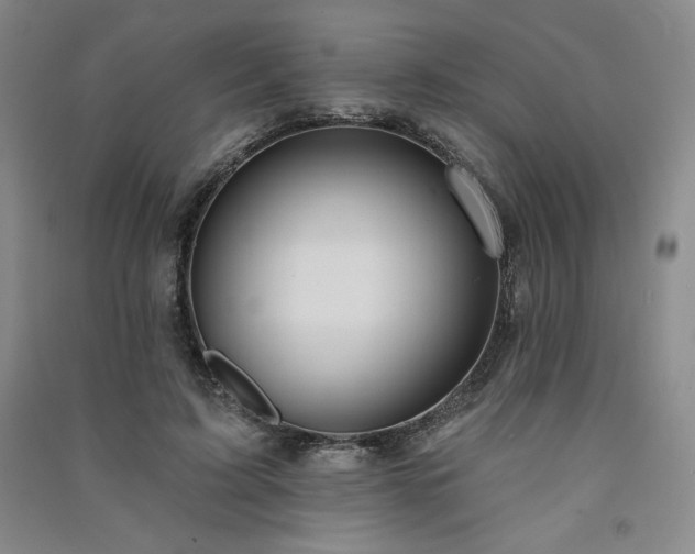 X0000091330595200708171352