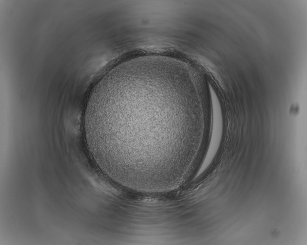 X0000091330596200708171352