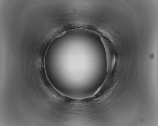 X0000091330597200708171352