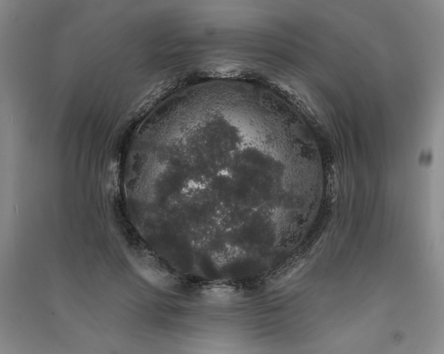 X0000091330598200708171352