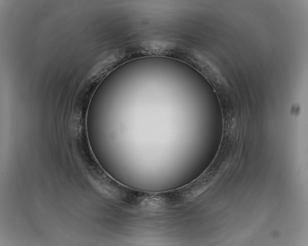 X0000091330599200708171352