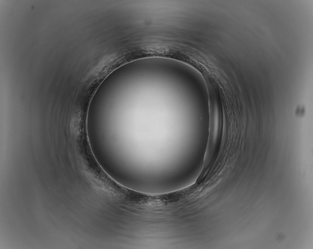 X0000091330600200708171352