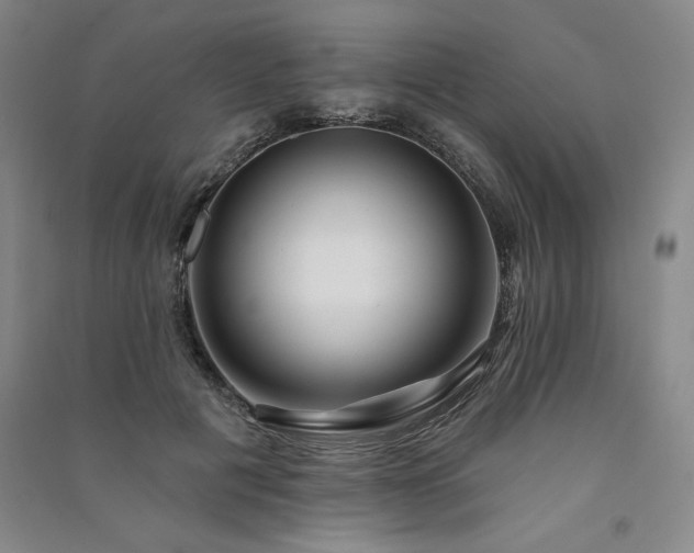 X0000091330601200708171352