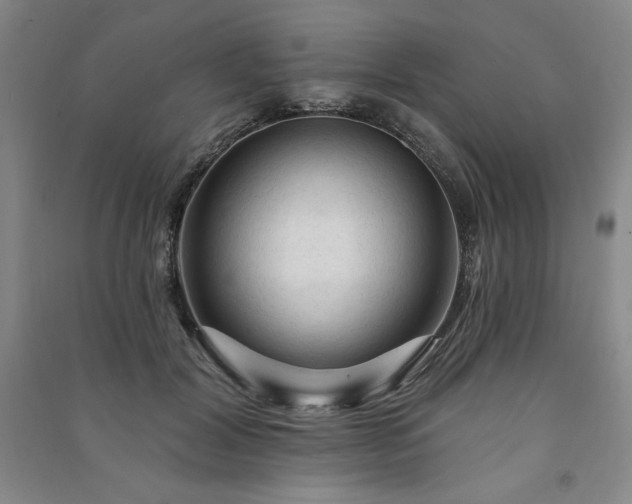 X0000091330604200708171352