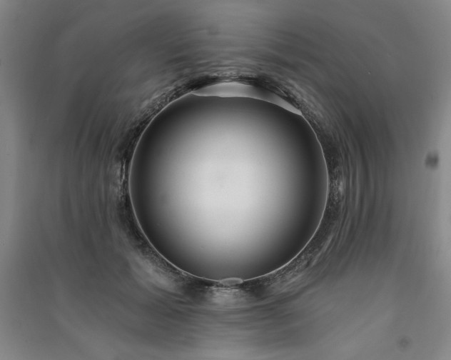 X0000091330605200708171352