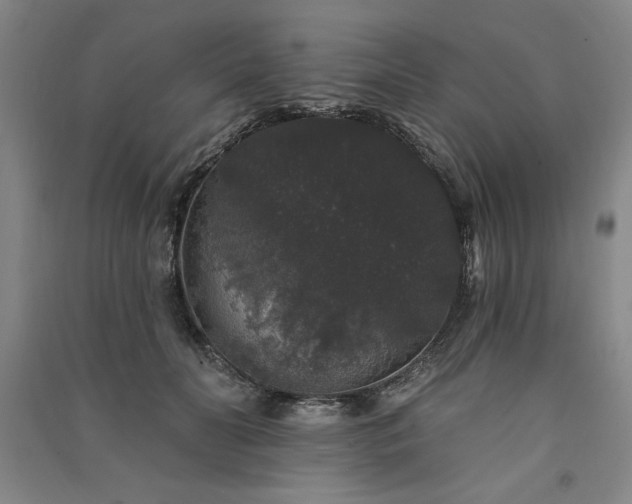 X0000091330606200708171352