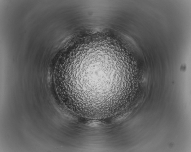 X0000091330607200708171352