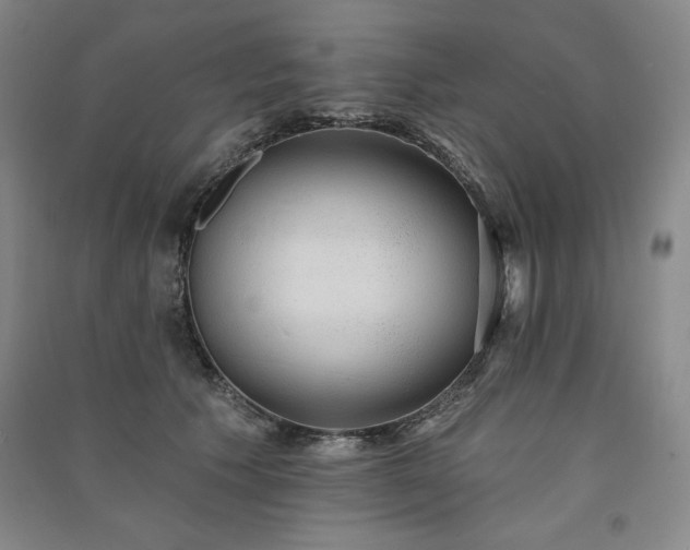 X0000091330609200708171352