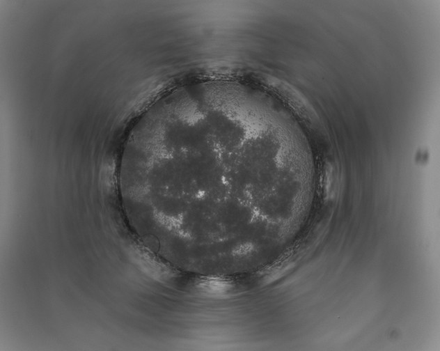 X0000091330610200708171352