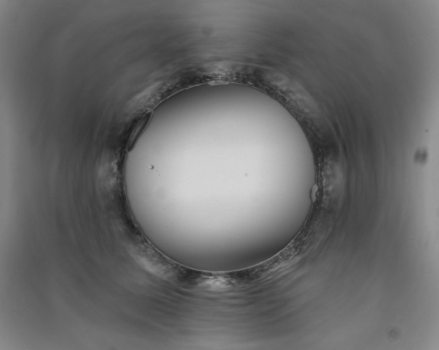 X0000091330611200708171352