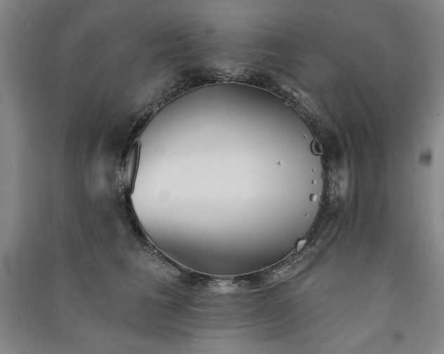 X0000091330613200708171352