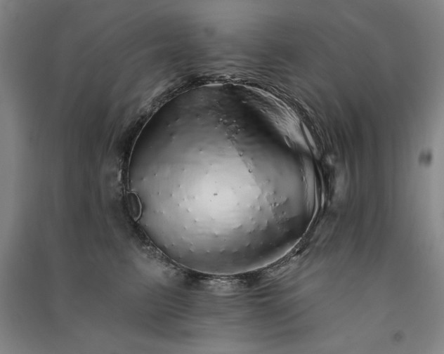 X0000091330615200708171352