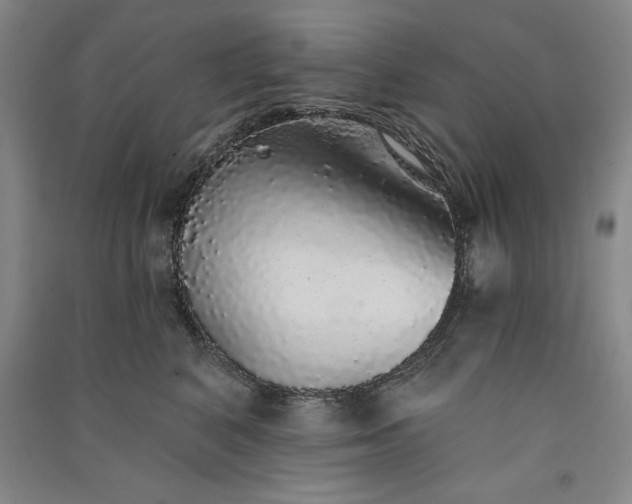 X0000091330616200708171352