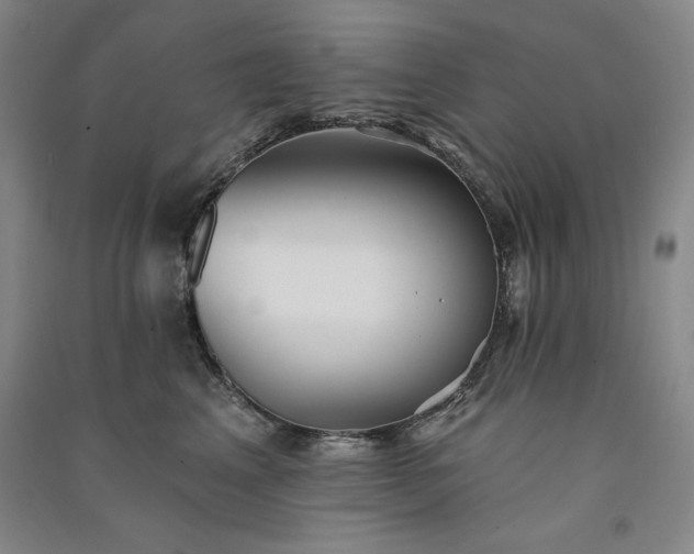 X0000091330617200708171352