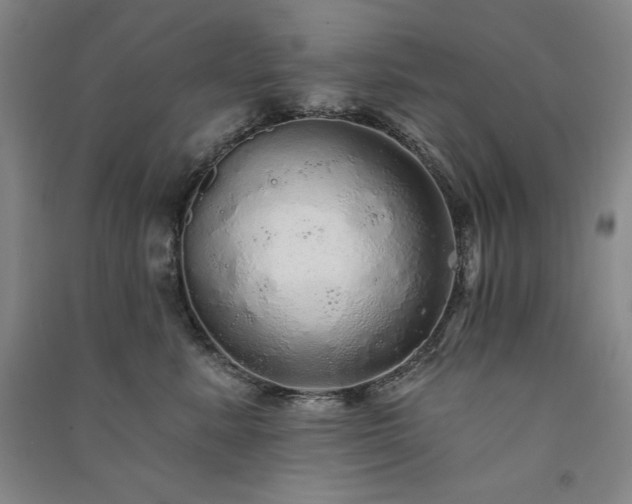 X0000091330619200708171352