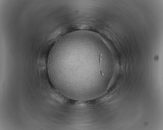 X0000091330620200708171352