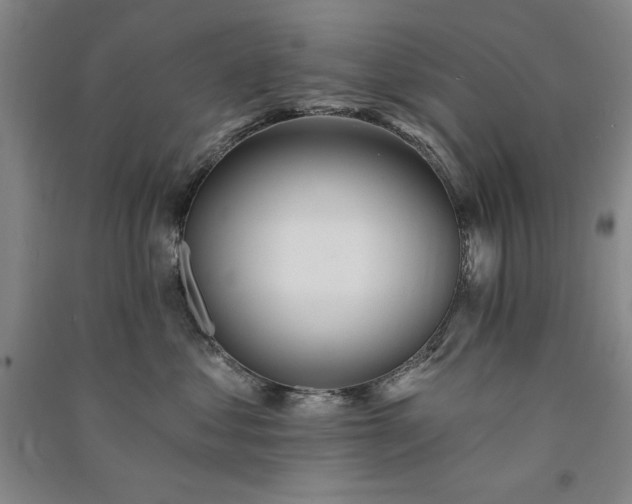 X0000091330621200708171352