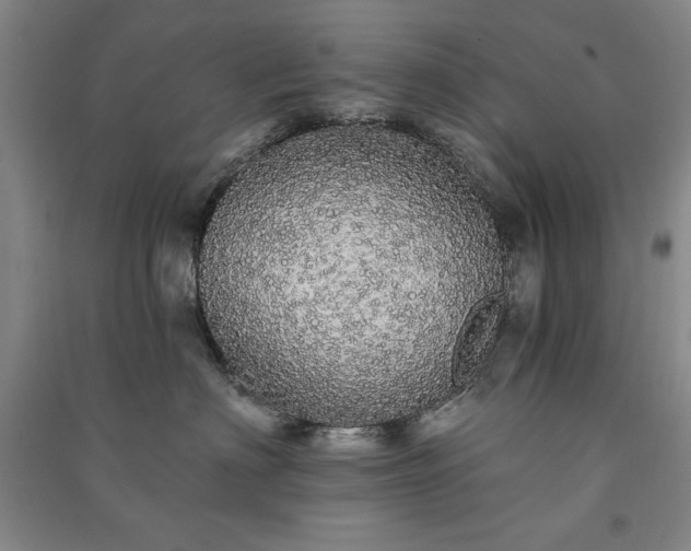 X0000091330622200708171352