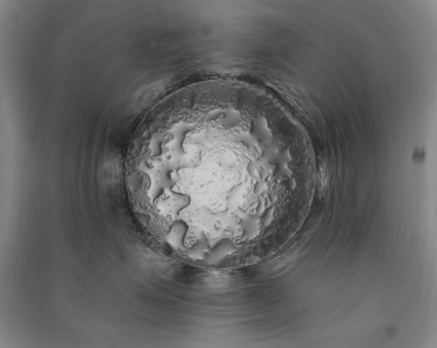 X0000091330623200708171352