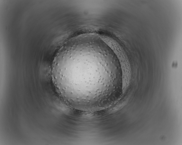 X0000091330624200708171352