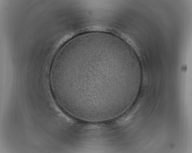 X0000091330625200708171351