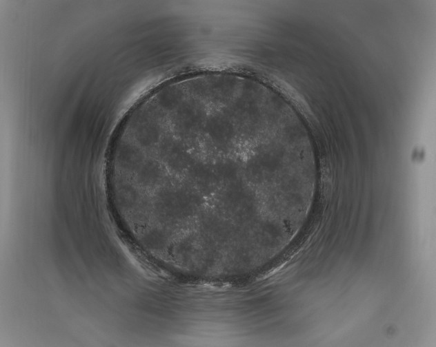 X0000091330626200708171351