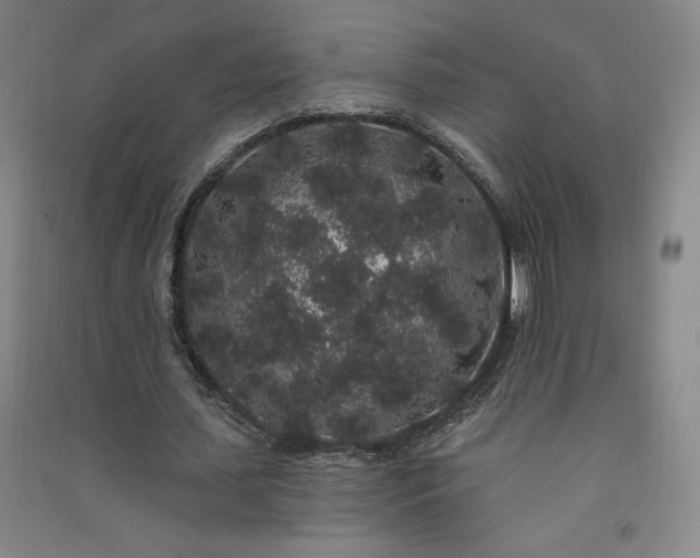 X0000091330627200708171351